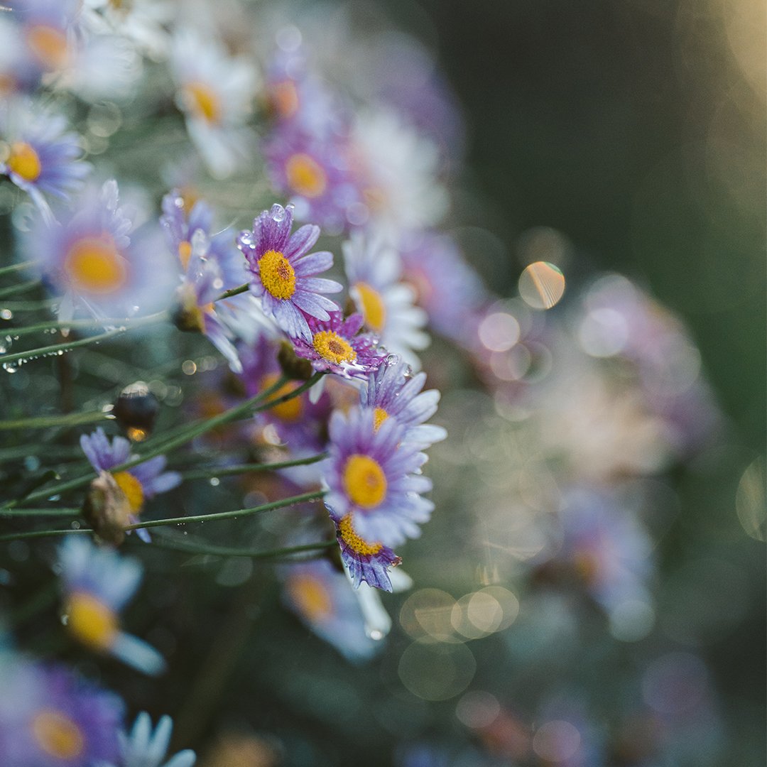 How to Cope With Physical and Emotional Pain